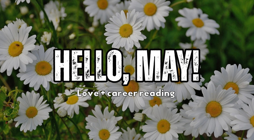 May 🌸 Love and Career Reading